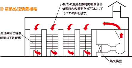 蒸熱処理装置概略